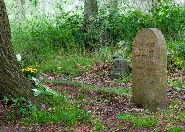 UK May '22 - Deference (Nick Drake) 006.jpg